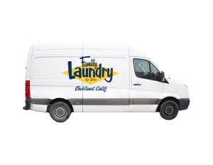 Family Laundry e-Transit